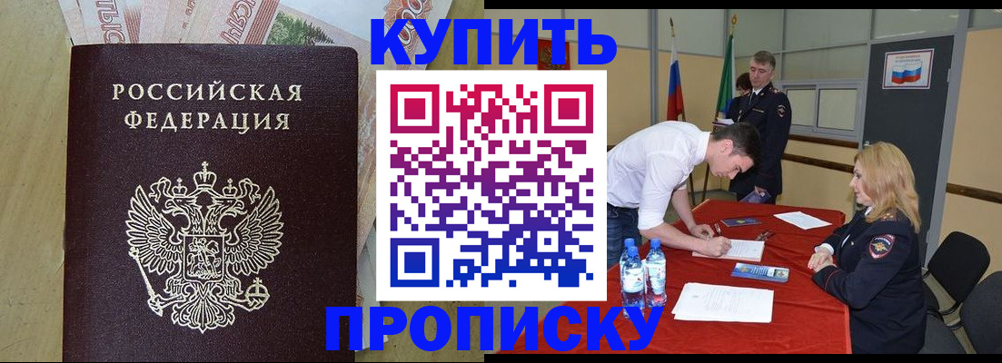 прописка 2025 в Щёкино