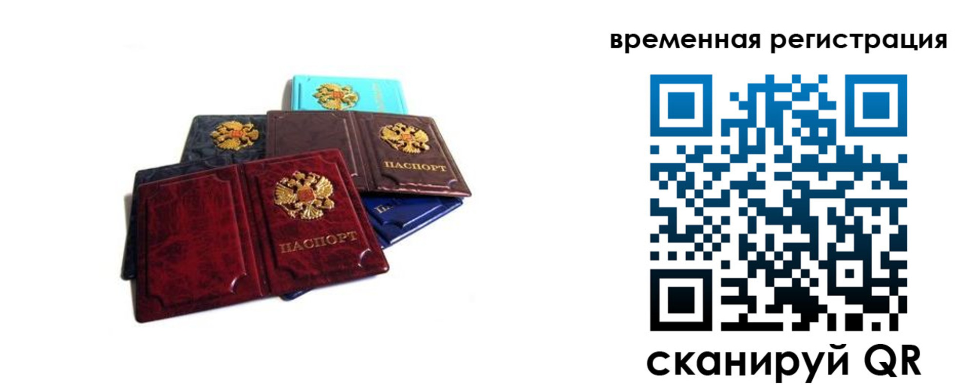 прописка гарантия в Щёкино