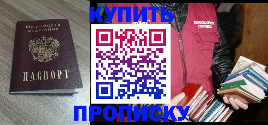 прописка 2025 в Щёкино